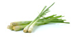 Lemongrass